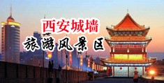 小穴20p中国陕西-西安城墙旅游风景区
